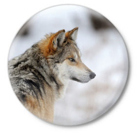 Значок с принтом Хозяин леса в Курске,  металл | круглая форма, металлическая застежка в виде булавки | волк | серый