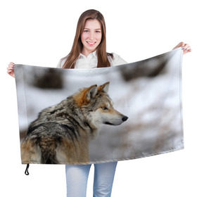 Флаг 3D с принтом Хозяин леса в Курске, 100% полиэстер | плотность ткани — 95 г/м2, размер — 67 х 109 см. Принт наносится с одной стороны | волк | серый