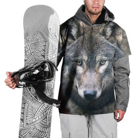 Накидка на куртку 3D с принтом Серый волк в Курске, 100% полиэстер |  | аука | бирюк | волк | волчара | волчица | волчок | глаза | животное | животные | зверь | зеленые | койот | лес | млекопитающее | природа | санитар леса | серый | уши | фауна | хищник | черный | шакал