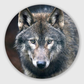 Коврик круглый с принтом Серый волк в Курске, резина и полиэстер | круглая форма, изображение наносится на всю лицевую часть | аука | бирюк | волк | волчара | волчица | волчок | глаза | животное | животные | зверь | зеленые | койот | лес | млекопитающее | природа | санитар леса | серый | уши | фауна | хищник | черный | шакал