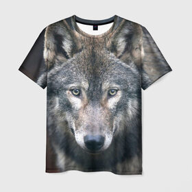 Мужская футболка 3D с принтом Серый волк в Курске, 100% полиэфир | прямой крой, круглый вырез горловины, длина до линии бедер | аука | бирюк | волк | волчара | волчица | волчок | глаза | животное | животные | зверь | зеленые | койот | лес | млекопитающее | природа | санитар леса | серый | уши | фауна | хищник | черный | шакал