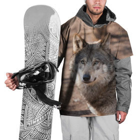 Накидка на куртку 3D с принтом Серый волк в Курске, 100% полиэстер |  | аука | бирюк | волк | волчара | волчица | волчок | глаза | животное | животные | зверь | зеленые | койот | лес | млекопитающее | природа | санитар леса | серый | уши | фауна | хищник | черный | шакал