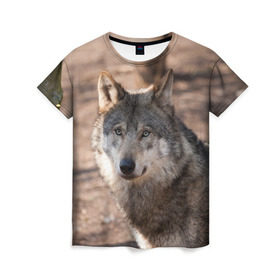 Женская футболка 3D с принтом Серый волк в Курске, 100% полиэфир ( синтетическое хлопкоподобное полотно) | прямой крой, круглый вырез горловины, длина до линии бедер | аука | бирюк | волк | волчара | волчица | волчок | глаза | животное | животные | зверь | зеленые | койот | лес | млекопитающее | природа | санитар леса | серый | уши | фауна | хищник | черный | шакал