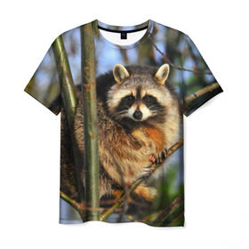 Мужская футболка 3D с принтом Енот в Курске, 100% полиэфир | прямой крой, круглый вырез горловины, длина до линии бедер | дерево | енот | животные | милый | природа