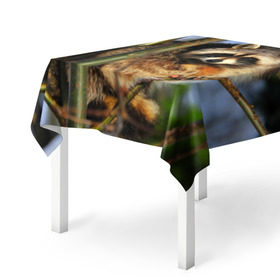 Скатерть 3D с принтом Енот в Курске, 100% полиэстер (ткань не мнется и не растягивается) | Размер: 150*150 см | дерево | енот | животные | милый | природа
