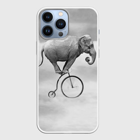 Чехол для iPhone 13 Pro Max с принтом Hipster Bike в Курске,  |  | elephant | hipster | индия | йога | слон | хипстер