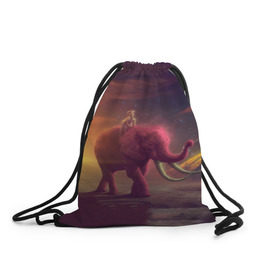 Рюкзак-мешок 3D с принтом Индия в Курске, 100% полиэстер | плотность ткани — 200 г/м2, размер — 35 х 45 см; лямки — толстые шнурки, застежка на шнуровке, без карманов и подкладки | elephant | hipster | индия | йога | слон | хипстер