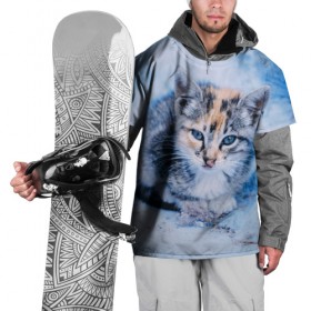 Накидка на куртку 3D с принтом Трехцветный котенок зимой в Курске, 100% полиэстер |  | Тематика изображения на принте: грустный | добрый | животное | киса | киска кися | кот | котенок | котэ | кошка | красивый | лапа | лапка | ласковый | милый | моська | мурлыка | прикольный | смешной | унылый | усатый | шерсть