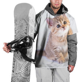 Накидка на куртку 3D с принтом Любопытный котенок в Курске, 100% полиэстер |  | грустный | добрый | животное | киса | киска кися | кот | котенок | котэ | кошка | красивый | лапа | лапка | ласковый | милый | моська | мурлыка | прикольный | смешной | унылый | усатый | шерсть