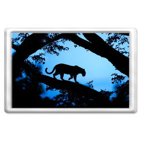 Магнит 45*70 с принтом Чёрная пантера в Курске, Пластик | Размер: 78*52 мм; Размер печати: 70*45 | Тематика изображения на принте: африка | вечер | дерево | дикая кошка | закат | леопард | сафари | ягуар
