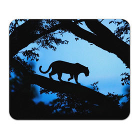 Коврик прямоугольный с принтом Чёрная пантера в Курске, натуральный каучук | размер 230 х 185 мм; запечатка лицевой стороны | Тематика изображения на принте: африка | вечер | дерево | дикая кошка | закат | леопард | сафари | ягуар
