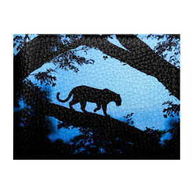 Обложка для студенческого билета с принтом Чёрная пантера в Курске, натуральная кожа | Размер: 11*8 см; Печать на всей внешней стороне | африка | вечер | дерево | дикая кошка | закат | леопард | сафари | ягуар