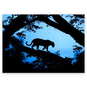 Поздравительная открытка с принтом Чёрная пантера в Курске, 100% бумага | плотность бумаги 280 г/м2, матовая, на обратной стороне линовка и место для марки
 | Тематика изображения на принте: африка | вечер | дерево | дикая кошка | закат | леопард | сафари | ягуар