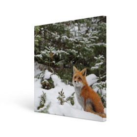 Холст квадратный с принтом Лиса в зимнем лесу в Курске, 100% ПВХ |  | Тематика изображения на принте: fox | животное | зверь | красивая | лес | лис | лиса | лисенок | лисица | лисичка | мех | патрикеевна | песец | плутовка | прикольная | природа | рыжая | рыжий цвет | сказка | хвост | хитрая | хищник
