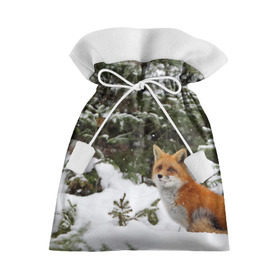 Подарочный 3D мешок с принтом Лиса в зимнем лесу в Курске, 100% полиэстер | Размер: 29*39 см | Тематика изображения на принте: fox | животное | зверь | красивая | лес | лис | лиса | лисенок | лисица | лисичка | мех | патрикеевна | песец | плутовка | прикольная | природа | рыжая | рыжий цвет | сказка | хвост | хитрая | хищник