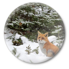 Значок с принтом Лиса в зимнем лесу в Курске,  металл | круглая форма, металлическая застежка в виде булавки | fox | животное | зверь | красивая | лес | лис | лиса | лисенок | лисица | лисичка | мех | патрикеевна | песец | плутовка | прикольная | природа | рыжая | рыжий цвет | сказка | хвост | хитрая | хищник