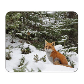 Коврик прямоугольный с принтом Лиса в зимнем лесу в Курске, натуральный каучук | размер 230 х 185 мм; запечатка лицевой стороны | fox | животное | зверь | красивая | лес | лис | лиса | лисенок | лисица | лисичка | мех | патрикеевна | песец | плутовка | прикольная | природа | рыжая | рыжий цвет | сказка | хвост | хитрая | хищник