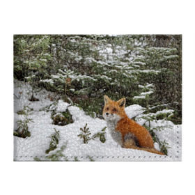 Обложка для студенческого билета с принтом Лиса в зимнем лесу в Курске, натуральная кожа | Размер: 11*8 см; Печать на всей внешней стороне | Тематика изображения на принте: fox | животное | зверь | красивая | лес | лис | лиса | лисенок | лисица | лисичка | мех | патрикеевна | песец | плутовка | прикольная | природа | рыжая | рыжий цвет | сказка | хвост | хитрая | хищник