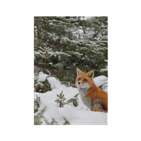 Обложка для паспорта матовая кожа с принтом Лиса в зимнем лесу в Курске, натуральная матовая кожа | размер 19,3 х 13,7 см; прозрачные пластиковые крепления | fox | животное | зверь | красивая | лес | лис | лиса | лисенок | лисица | лисичка | мех | патрикеевна | песец | плутовка | прикольная | природа | рыжая | рыжий цвет | сказка | хвост | хитрая | хищник