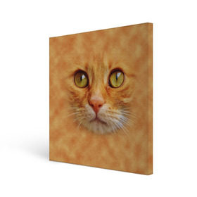 Холст квадратный с принтом Котик в Курске, 100% ПВХ |  | животные | кот | котенок | котик | кошка