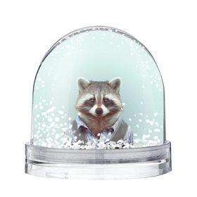 Снежный шар с принтом Хипстер Енот в Курске, Пластик | Изображение внутри шара печатается на глянцевой фотобумаге с двух сторон | raccoon | енот