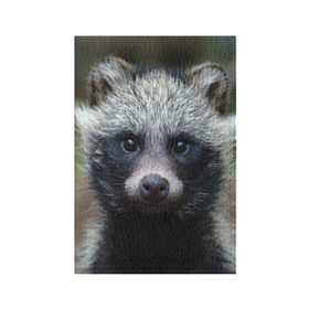 Обложка для паспорта матовая кожа с принтом Енотик в Курске, натуральная матовая кожа | размер 19,3 х 13,7 см; прозрачные пластиковые крепления | Тематика изображения на принте: raccoon | енот