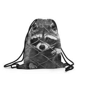 Рюкзак-мешок 3D с принтом Свободу Енотам в Курске, 100% полиэстер | плотность ткани — 200 г/м2, размер — 35 х 45 см; лямки — толстые шнурки, застежка на шнуровке, без карманов и подкладки | raccoon | енот