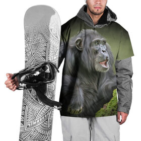 Накидка на куртку 3D с принтом Шимпанзе в Курске, 100% полиэстер |  | Тематика изображения на принте: животные | обезьяна 