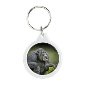 Брелок круглый с принтом Шимпанзе в Курске, пластик и полированная сталь | круглая форма, металлическое крепление в виде кольца | животные | обезьяна 