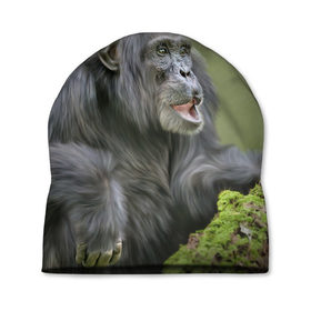 Шапка 3D с принтом Шимпанзе в Курске, 100% полиэстер | универсальный размер, печать по всей поверхности изделия | Тематика изображения на принте: животные | обезьяна 