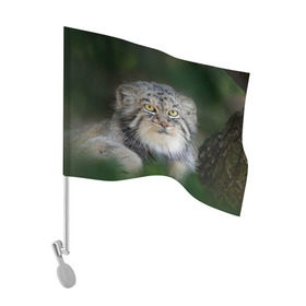 Флаг для автомобиля с принтом Манул в Курске, 100% полиэстер | Размер: 30*21 см | всеядный | детеныш | дикие | животные | звери | зверята | кот | манул | медведь | хищник