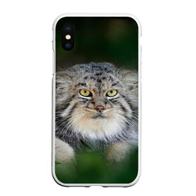 Чехол для iPhone XS Max матовый с принтом Манул в Курске, Силикон | Область печати: задняя сторона чехла, без боковых панелей | всеядный | детеныш | дикие | животные | звери | зверята | кот | манул | медведь | хищник