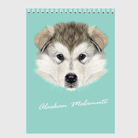 Скетчбук с принтом Alaskan Malamute в Курске, 100% бумага
 | 48 листов, плотность листов — 100 г/м2, плотность картонной обложки — 250 г/м2. Листы скреплены сверху удобной пружинной спиралью | Тематика изображения на принте: alaskan malamute | dog | puppy | маламут | собака | хаски | щенок