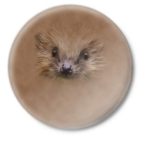 Значок с принтом Ёжик в Курске,  металл | круглая форма, металлическая застежка в виде булавки | голова | еж | ежик | животные | мордочка | природа