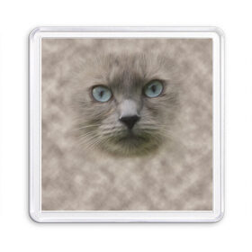Магнит 55*55 с принтом Кошка в Курске, Пластик | Размер: 65*65 мм; Размер печати: 55*55 мм | Тематика изображения на принте: глаза | животные | кот | котенок | кошка | мордочка | нос | усы
