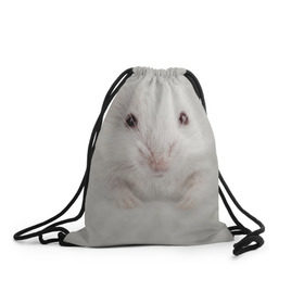 Рюкзак-мешок 3D с принтом Крыса в Курске, 100% полиэстер | плотность ткани — 200 г/м2, размер — 35 х 45 см; лямки — толстые шнурки, застежка на шнуровке, без карманов и подкладки | животные | крыса | мордочка | мышка | мышь | природа
