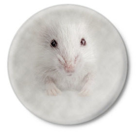 Значок с принтом Крыса в Курске,  металл | круглая форма, металлическая застежка в виде булавки | животные | крыса | мордочка | мышка | мышь | природа