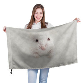 Флаг 3D с принтом Крыса в Курске, 100% полиэстер | плотность ткани — 95 г/м2, размер — 67 х 109 см. Принт наносится с одной стороны | животные | крыса | мордочка | мышка | мышь | природа