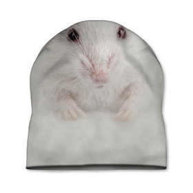 Шапка 3D с принтом Крыса в Курске, 100% полиэстер | универсальный размер, печать по всей поверхности изделия | животные | крыса | мордочка | мышка | мышь | природа