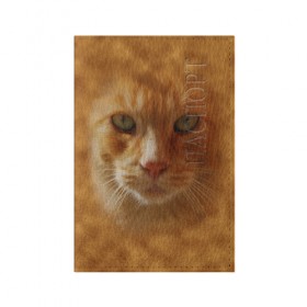 Обложка для паспорта матовая кожа с принтом Рыжий котик в Курске, натуральная матовая кожа | размер 19,3 х 13,7 см; прозрачные пластиковые крепления | Тематика изображения на принте: животные | кот | котенок | котик | кошка | мордочка | рыжий