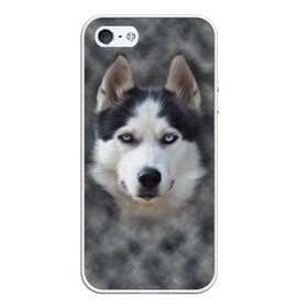 Чехол для iPhone 5/5S матовый с принтом Хаска в Курске, Силикон | Область печати: задняя сторона чехла, без боковых панелей | мордочка | пес | собака | хаска | щенок