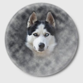 Значок с принтом Хаска в Курске,  металл | круглая форма, металлическая застежка в виде булавки | мордочка | пес | собака | хаска | щенок
