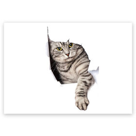 Поздравительная открытка с принтом Кот прорвался в Курске, 100% бумага | плотность бумаги 280 г/м2, матовая, на обратной стороне линовка и место для марки
 | животные | коты | лапа | прорвался
