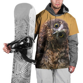 Накидка на куртку 3D с принтом Совёнок в Курске, 100% полиэстер |  | Тематика изображения на принте: взгляд | глаза | клюв | пернатые | перья | прикол | птица | сова | юмор