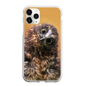 Чехол для iPhone 11 Pro Max матовый с принтом Совёнок в Курске, Силикон |  | взгляд | глаза | клюв | пернатые | перья | прикол | птица | сова | юмор
