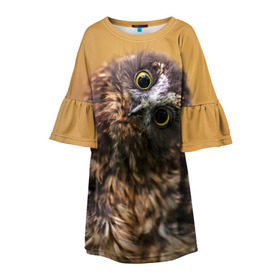 Детское платье 3D с принтом Совёнок в Курске, 100% полиэстер | прямой силуэт, чуть расширенный к низу. Круглая горловина, на рукавах — воланы | Тематика изображения на принте: взгляд | глаза | клюв | пернатые | перья | прикол | птица | сова | юмор