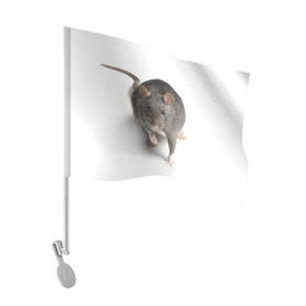 Флаг для автомобиля с принтом Крыса в Курске, 100% полиэстер | Размер: 30*21 см | животные | крыса | мышка | мышь
