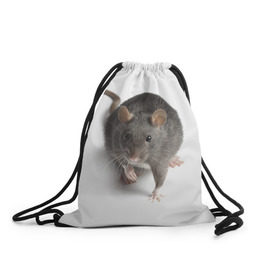 Рюкзак-мешок 3D с принтом Крыса в Курске, 100% полиэстер | плотность ткани — 200 г/м2, размер — 35 х 45 см; лямки — толстые шнурки, застежка на шнуровке, без карманов и подкладки | животные | крыса | мышка | мышь
