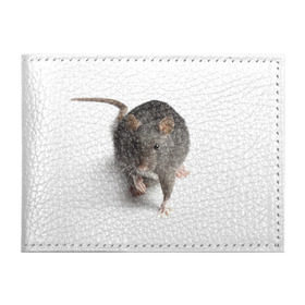 Обложка для студенческого билета с принтом Крыса в Курске, натуральная кожа | Размер: 11*8 см; Печать на всей внешней стороне | Тематика изображения на принте: животные | крыса | мышка | мышь