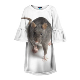 Детское платье 3D с принтом Крыса в Курске, 100% полиэстер | прямой силуэт, чуть расширенный к низу. Круглая горловина, на рукавах — воланы | животные | крыса | мышка | мышь